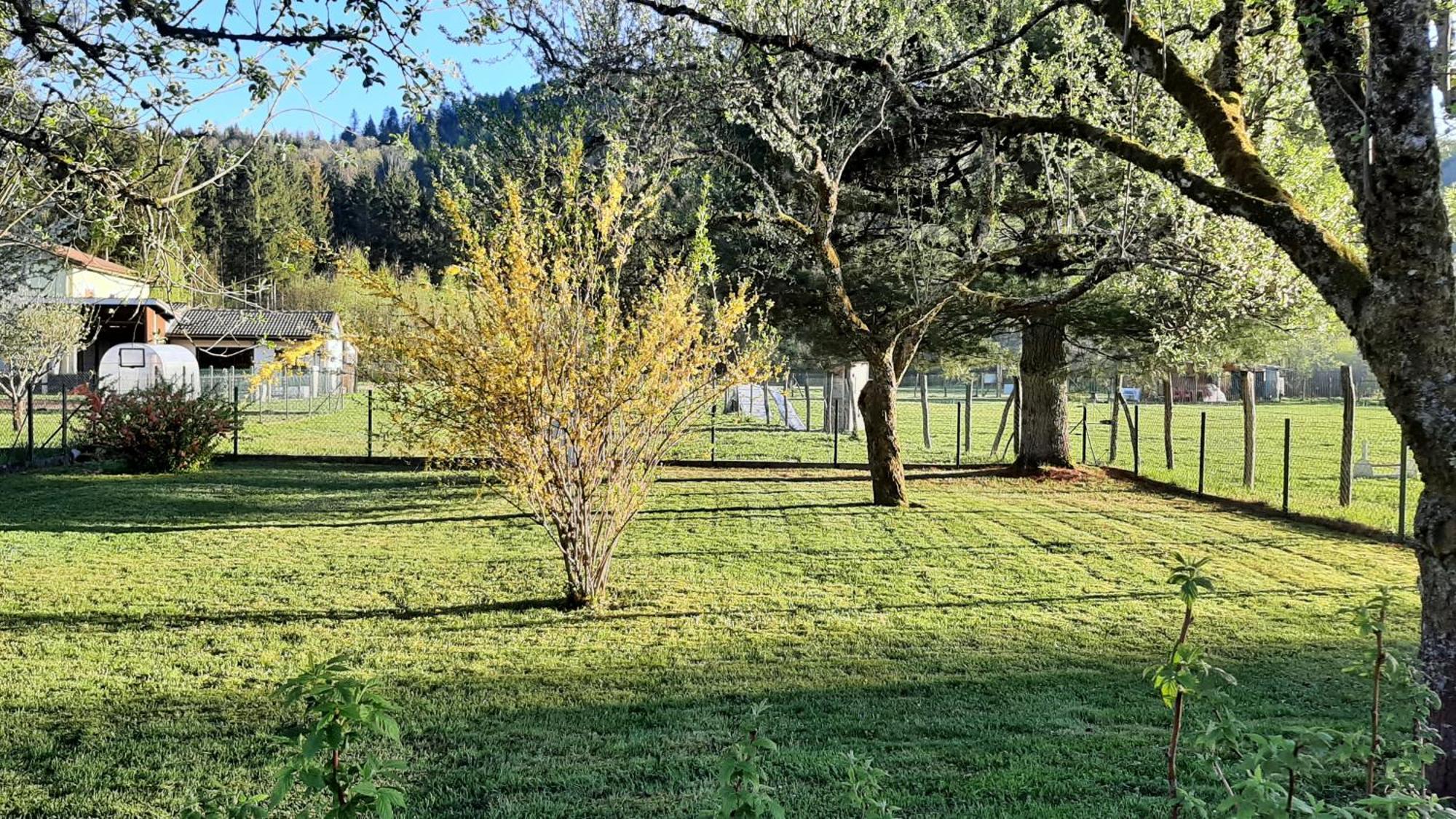 Chez Vovone 3 Etoiles Clevacances Saulxures-sur-Moselotte Exterior foto